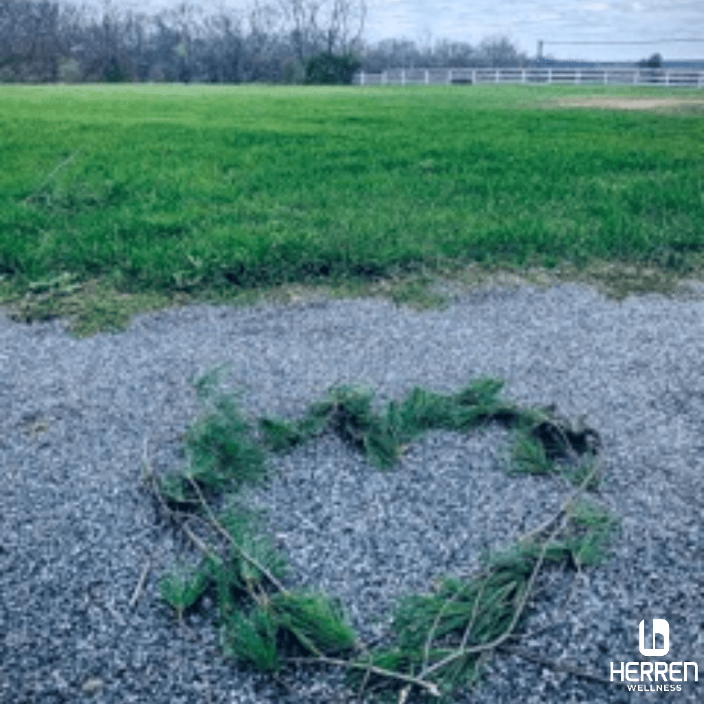 Embracing Gratitude, Inner Light, and the Joy of Recovery This Holiday Season
