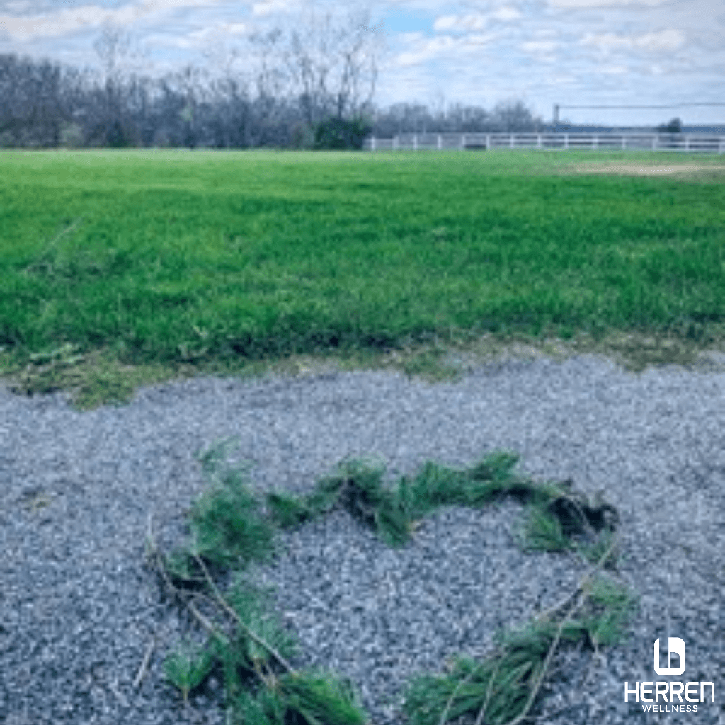 The Herren Wellness Difference