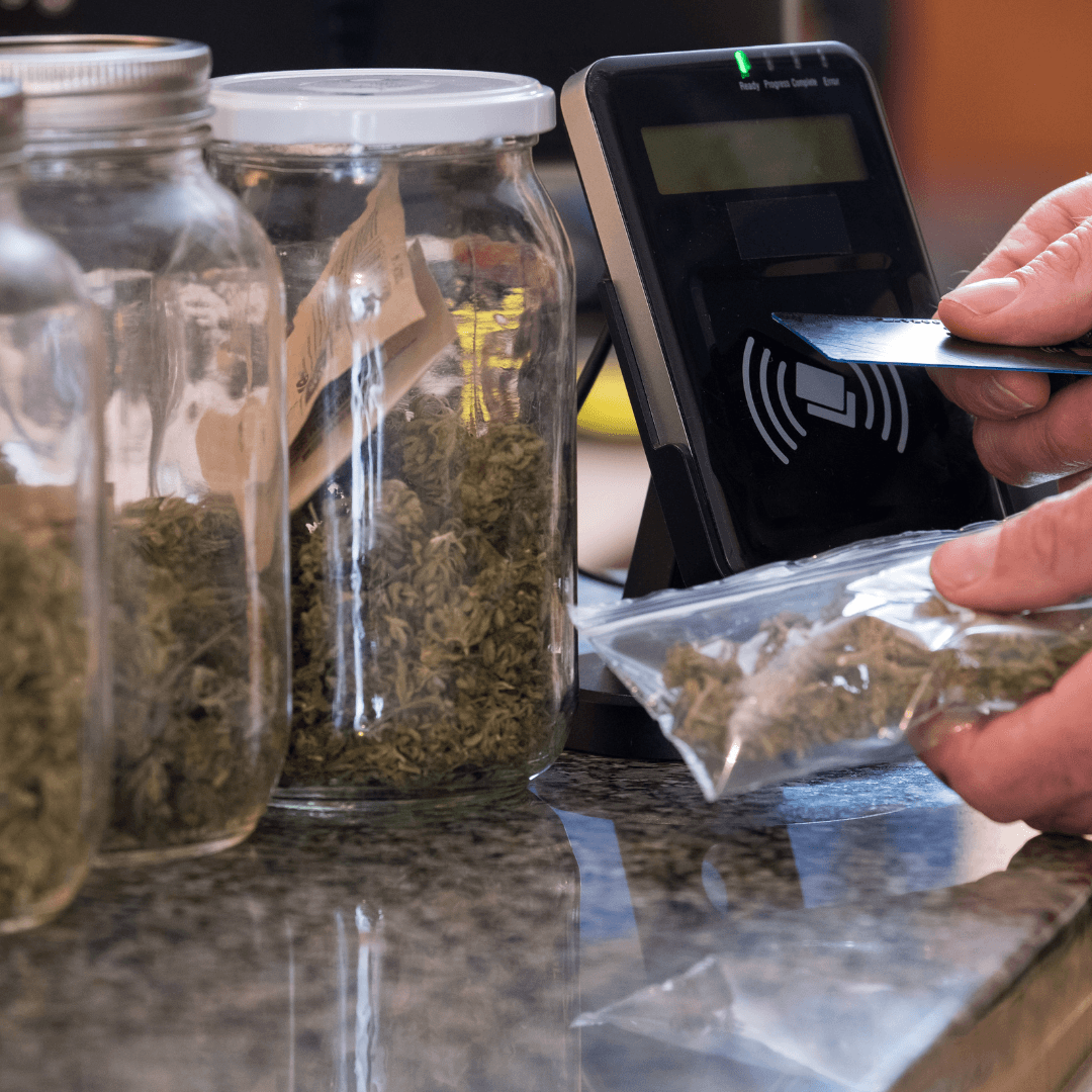 Understanding Marijuana, Cannabis Use & Psychosis