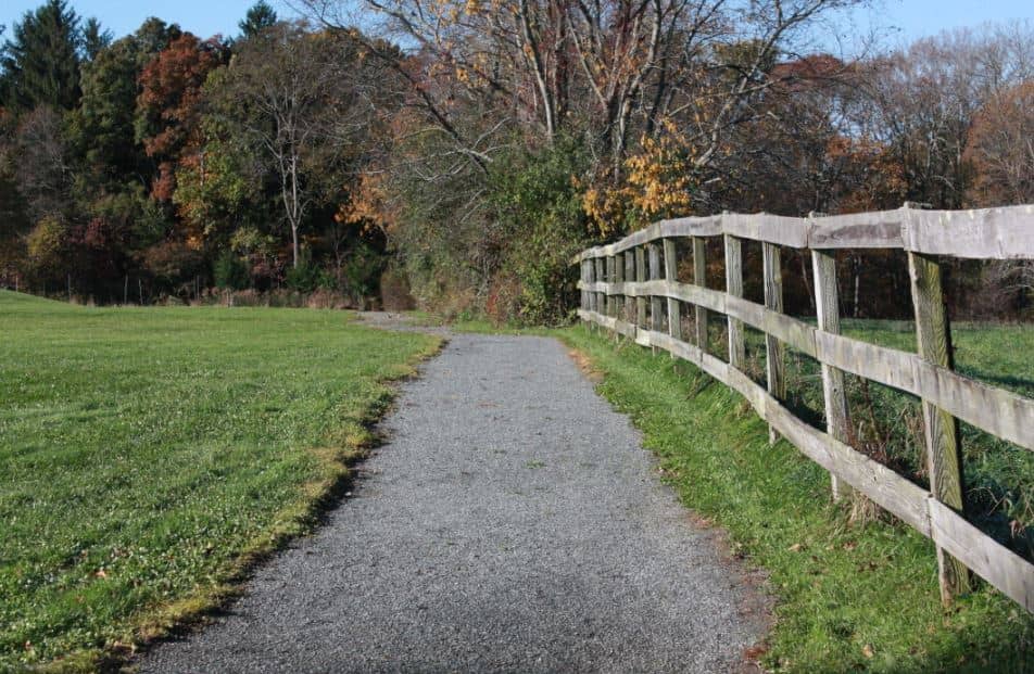 Why Wellness is Vital to Prevention and Recovery from Addiction