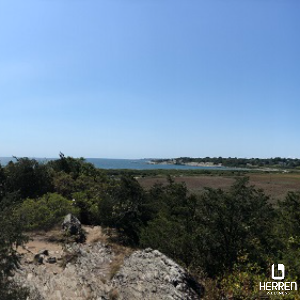 Celebrating Our Connections at Herren Wellness Herren Wellness