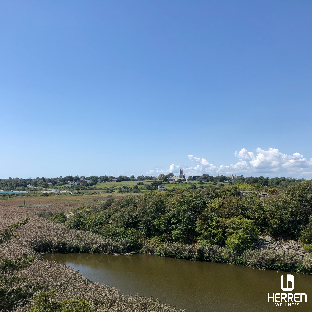 Celebrating Our Connections at Herren Wellness Herren Wellness