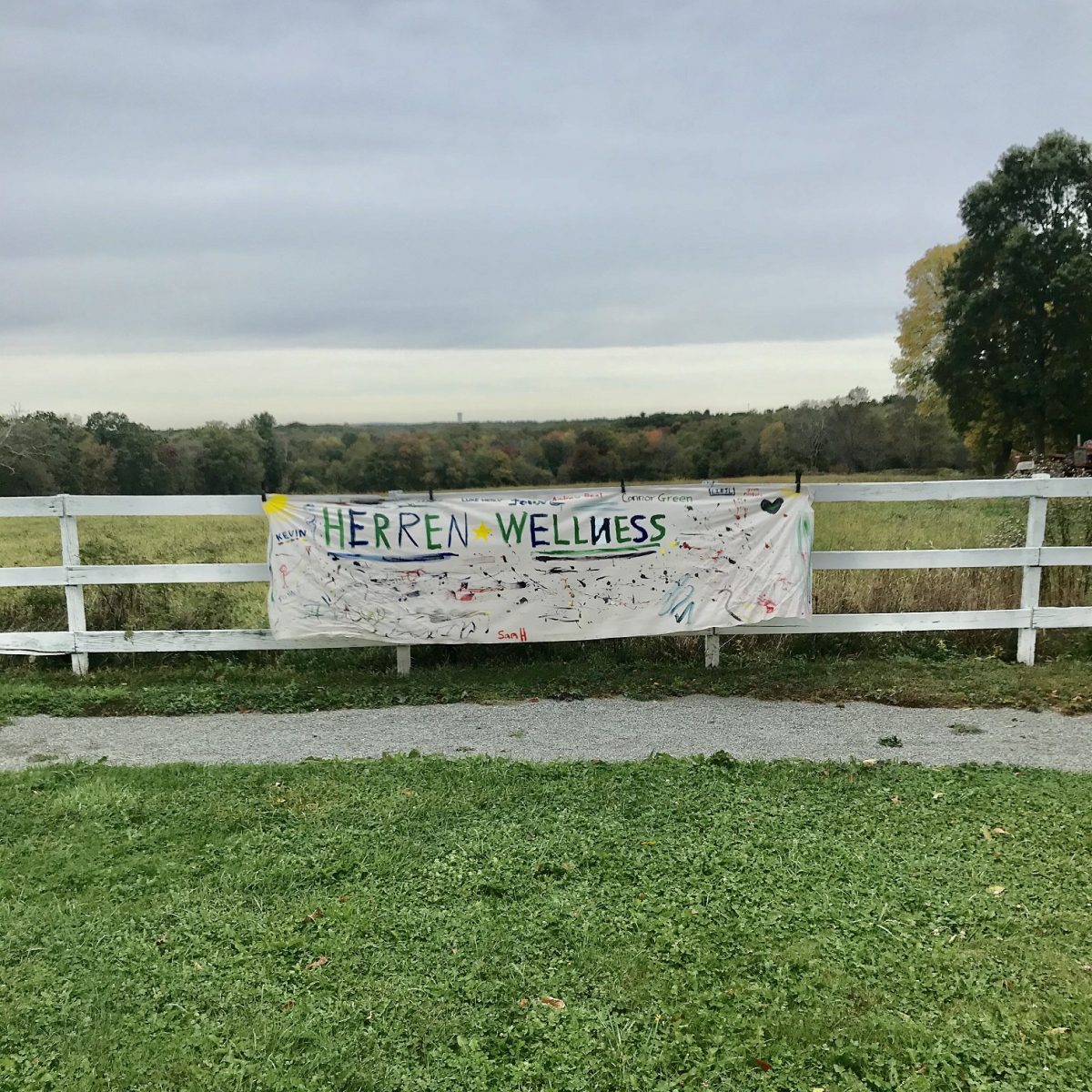 Herren Wellness Multiple Holistic Therapies and Pathways to Recovery