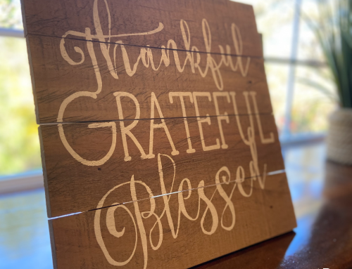 Embracing Gratitude in a Season of Thankfulness: Community, Connection, Support
